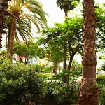 Doranda Canteras *